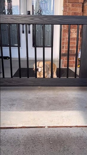 DIY ROLLING PORCH GATE #diycarpentry #homeimprovement #diycrafts #woodworking #lifestyle #shortsfeed