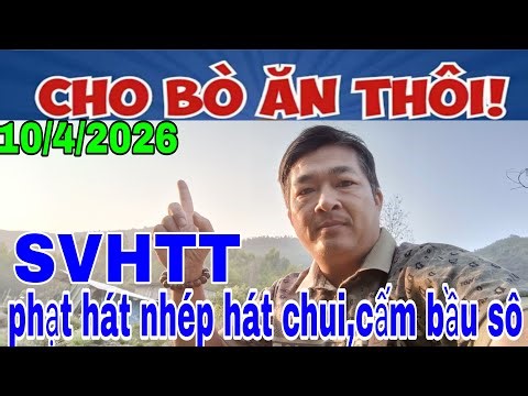 Thôi xong nhom hát nhép hát chui, Bầu sô bị cấm