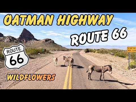 Oatman Arizona 191 Curves Sidewinder Route 66