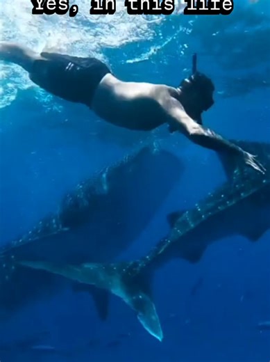 Resilience and the Male Journey After War