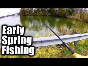 Early Spring Fishing From the Bank (Which Fish Bite In Early Spring?)