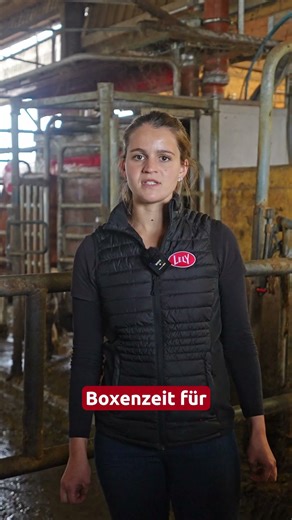 Lely A5 | 3 Fakten zur Reinigung