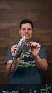 NEW Largest Topwater at Tackle Warehouse! Plus Tons of Gear from Baitsanity, Hag's, and 6th Sense! Featured New Product 👉 https://bit.ly/4jWFyfE #TackleWarehouse #WNTW | Tackle Warehouse