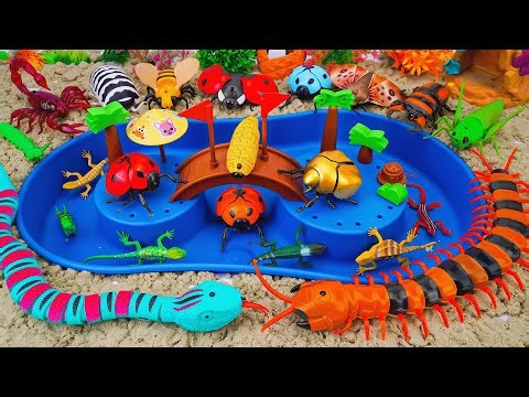🦈Toy ASMR🦈RC Centepede & RC Snake & Aquarium, Insect ASMR Satisfying with Unboxing