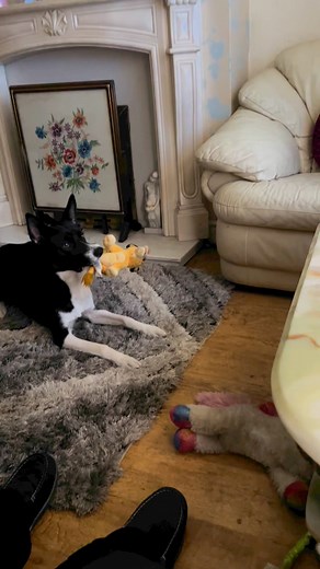 Barney likes Donkey as a white horse#shrek | Stephen Kelleher