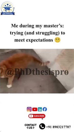 Master's Life: Trying to Meet Expectations 😂📚