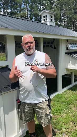 Was Video Chicken Live helpful this week? If you haven’t seen it, the VCL crew took a deep look into Mites and how to solve any issues that may be interfering with the best chicken life possible for you! . As an extra piece of information, Matt discusses how Mites might also impact your overall coop structure, and a solution they may alleviate those issues. . TUNE INTO VCL via Facebook or Instagram every Friday at 12PM EST. . . . . . . . . . . . . . . . #chickens #coops #chickencoops #craftsman 