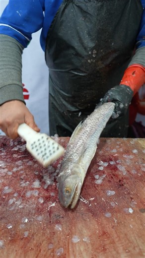 Easy Fish Cutting Tutorial for Beginners