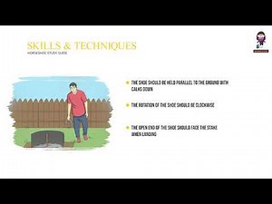 Horseshoe Pitching: A Beginner's Guide to the Game