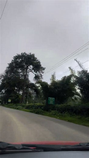 5.1K views · 149 reactions | Beauty of munnar  | Munnar - Travel Planners | Facebook