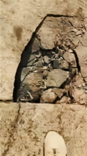 Cinematic Weeding Highlights ( of nature)