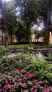 145K views · 325 reactions |  Zero taxe de școlarizare, educație de...