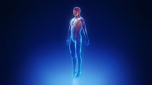 Male body scan in loop