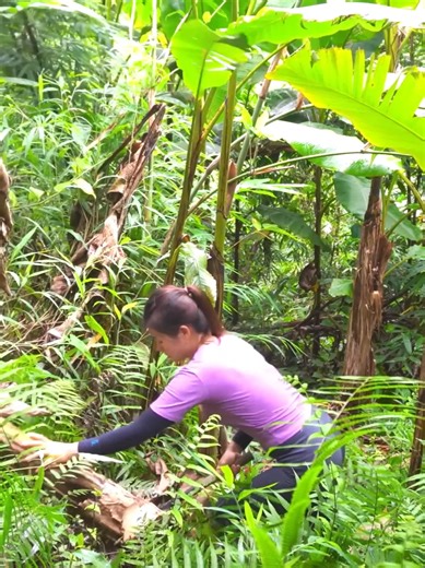 150 Days to Build a Free Farm: Wine Making Journey