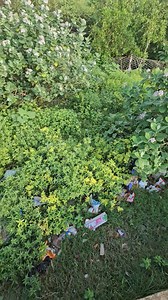 4.1K views · 32 reactions | Bankiput  Beach ⛱️ ♥️ Khatarnak view . Darun jayga ... Santi ❤️  #highlightseveryonefollowers #highlightsシ゚ #reelschallenge #mechanicalbychoice #Bankiput #sealife #digha ##mondarmoni #mylife #travelblogger Mechanical By Choice | Mechanical By Choice | Facebook