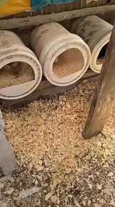1.5K views · 12 reactions | DIY nesting boxes for the chicken coop讀 #chickens #chickencoop #raisingchickens #backyardchickens #nestingbox #eggs #diy #diyprojects | Gardening With Deea | Facebook