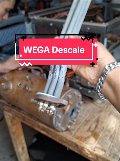 Coffee Machine WEGA Atlas Descale #birdservicecoffee #CoffeeMachinerepair #EspressoMachineRepair #CoffeeMachineTraining #CoffeeMachineRepairTraining