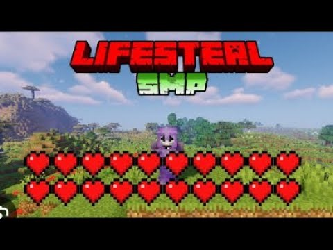 The BEST Lifesteal Realm on Minecraft Bedrock Edition! (MCPE, Xbox One, PS4, Windows)