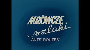 Mrówcze szlaki / Ants' routes /ENG sub