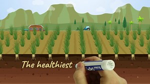 23K views · 262 reactions | Healthy soils are central to sustainable...