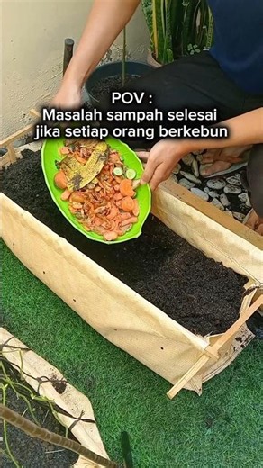 Berkebun Di Rumah 🌱 #berkebun