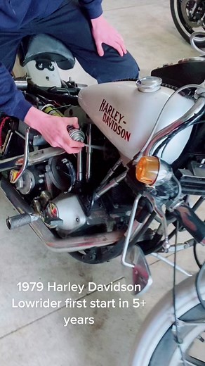 Reviving a Classic: 1979 Harley Davidson Lowrider