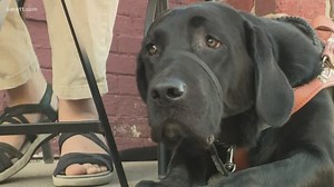 Complaint: Woman, who is blind, often denied Uber and Lyft rides because of service dog
