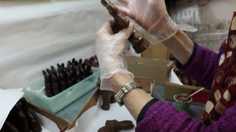 A Day in The Life At Hercules Candy During Easter