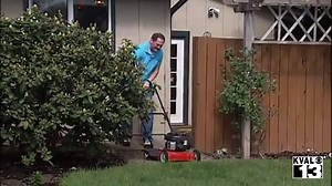 Is your lawn full of dry patches and weeds? Travis Knudsen KVAL has expert tips on how to keep your grass looking pristine all summer. Watch #LiveonKVAL Monday, May 2 at 5 p.m. and 11 p.m. for the full story. | KVAL News | Facebook