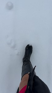 145 reactions · 14 comments | Still SNOWING in the hills of Livingston County! Be careful not to slip and fall! #snowglobe #livco | Nikki Rudd | Facebook