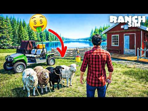 FINALLY I START SHEEP FARM IN MY NEW RANCH! 🐏 | RANCH SIMULATOR