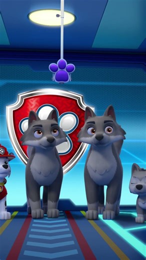 TITLE | Paw Patrol | PAW Patrol