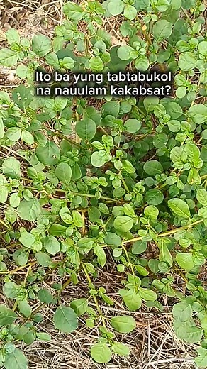 Ito ba ung tabtabukol na inuulam? #mdraketera #trendingvideo #trendingvideoreels | MD Raketera