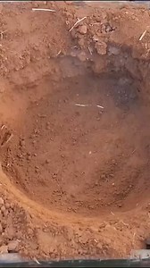 Hatching Eggs without Chicken 🤔🔥 | Az facts