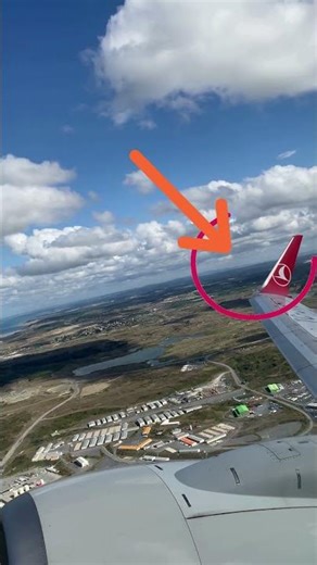 “Ever Wondered Why Planes Have Winglets?