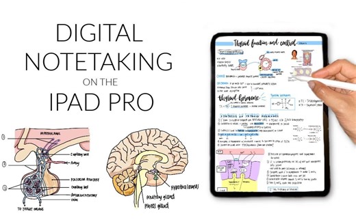 (搬运中字) iPad笔记｜Goodnotes小技巧全部教给你