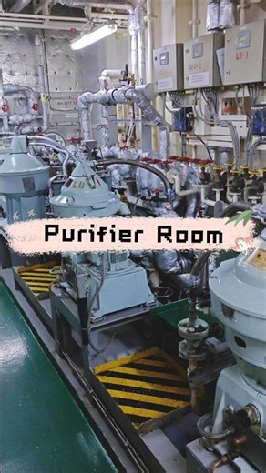 Revealed the Purifier Room Secrets ! #shipping #marinelife #ship #trending