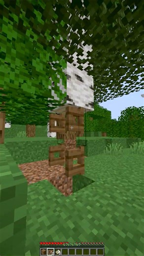 Minecraft SECRET Base...🤯 (World's Smallest Violin) #minecraft #shorts