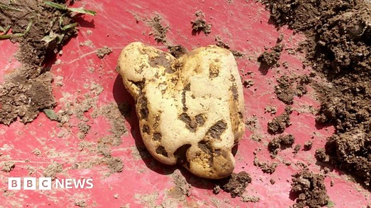 Detectorist with faulty gear finds 'England's largest' gold nugget
