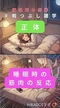 寝る瞬間にビクッとなる理由。脳の過保護な確認かも#生活雑学 #体の不思議 #NIKADOTラボ