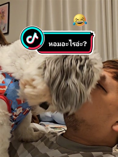 หมาน่ารักที่บ้าน! ความสุขแบบซู๊ดดดด