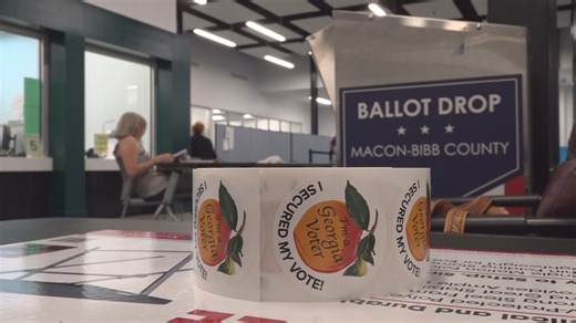 Elections: What you need to know for run-off elections in Central Georgia