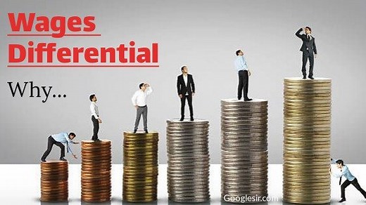 8 Major Causes of Wage Differentials (With Examples) - Googlesir