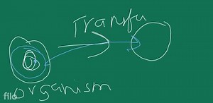 *(1) Define heredity. Explain the mechanism of hereditary chang... | Filo