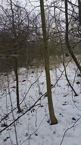 On the hunt for the infamous ss officers house, Amon Göth was a ruthless commandant officer of plasgow concentration camp. #AmonGöth #auschwitz #ww2 #schindlerslist #plaszow | Donny knight