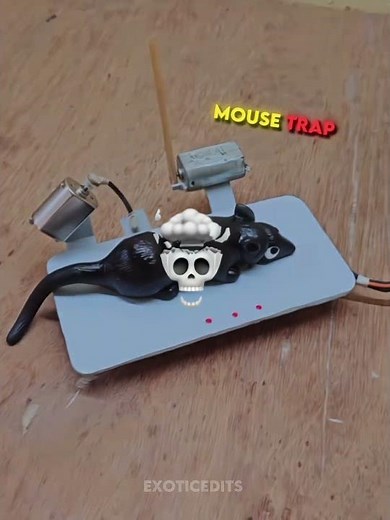 Amazing traps ☠️