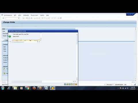 Day 7 - Authorization Tab in PFCG