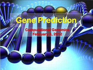 Gene Prediction - SlideServe