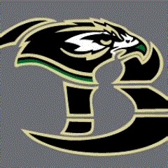 Basketball Recap: Birdville's  Victory  on Friday Extends Winning Streak to Four