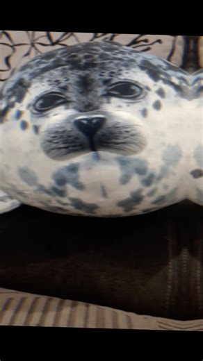 Відео користувача сильный тюлень🦭💪💪 (@flaui_111) з композицією «оригинальный звук - WXRMANE»